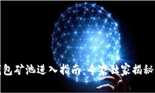 TP钱包矿池进入指南：专家独家揭秘秘诀