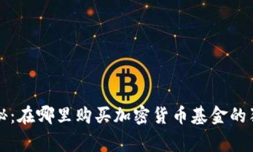 专家揭秘：在哪里购买加密货币基金的独家秘诀