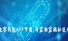 官方数字钱包APP下载：专
