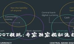 TP钱包DOT提现：专家独家揭