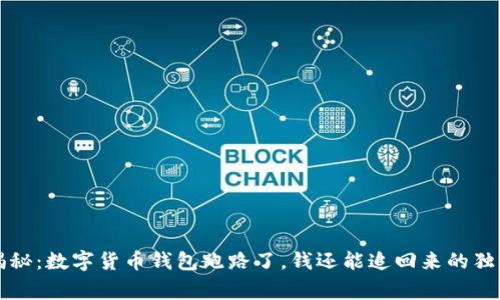 专家揭秘：数字货币钱包跑路了，钱还能追回来的独家秘诀