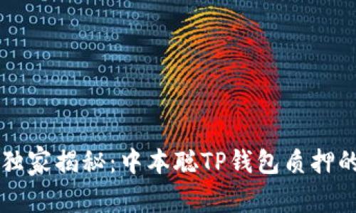 专家独家揭秘：中本聪TP钱包质押的秘诀