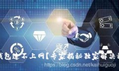 TP钱包连不上网？专家揭秘