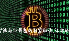 专家揭秘：星火矿池与T