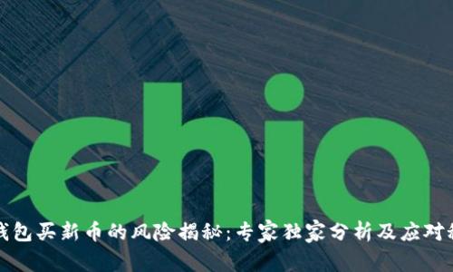 TP钱包买新币的风险揭秘：专家独家分析及应对秘诀