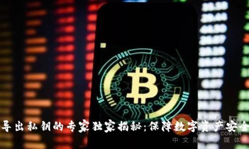 TP钱包导出私钥的专家独家揭秘：保障数字资产安全的秘诀
