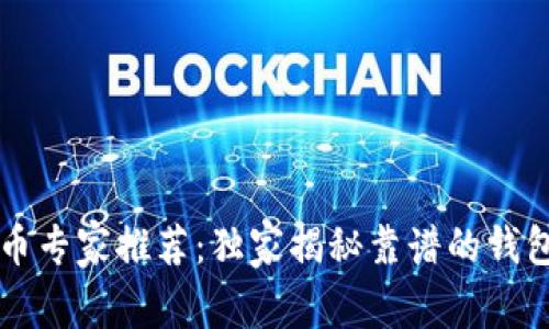 虚拟币专家推荐：独家揭秘靠谱的钱包秘诀