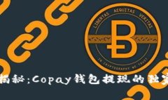 专家揭秘：Copay钱包提现的