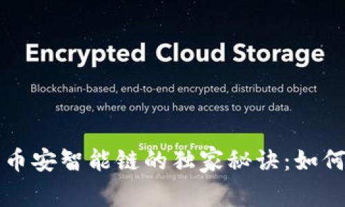 揭秘TP钱包身份钱包与币安智能链的独家秘诀：如何高效管理你的数字资产