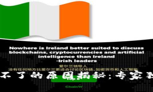 ### 中本聪登录不了的原因揭秘：专家独家分析与秘诀分享