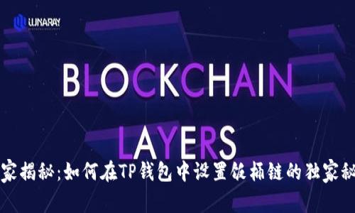 专家揭秘：如何在TP钱包中设置饭桶链的独家秘诀