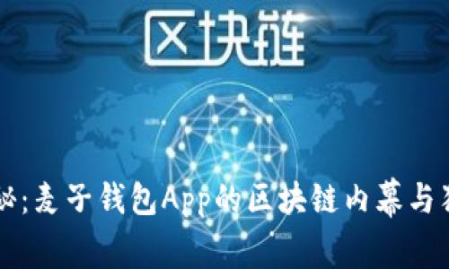 专家揭秘：麦子钱包App的区块链内幕与独家秘诀