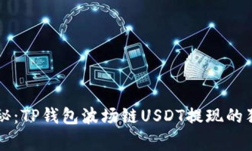 专家揭秘：TP钱包波场链USDT提现的独家秘诀