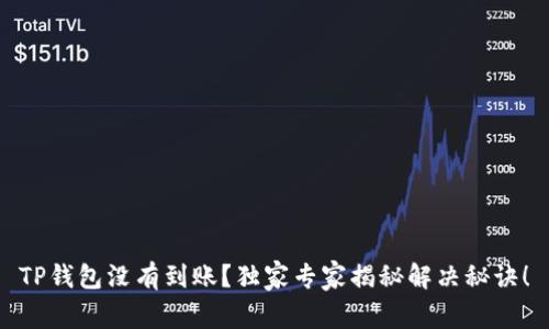 TP钱包没有到账？独家专家揭秘解决秘诀！