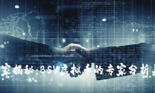 2023年独家揭秘：BSV虚拟币的专家分析与投资秘诀