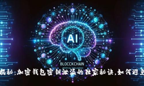 专家揭秘：加密钱包密钥泄漏的独家秘诀，如何避免被盗