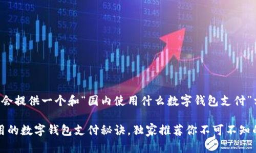 为了更好地整理信息，下面我会提供一个和“国内使用什么数字钱包支付”相关的、关键词和详细的内容。

2023年专家解读：中国人常用的数字钱包支付秘诀，独家推荐你不可不知的选择！