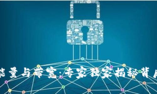 TP钱包能量与带宽：专家独家揭秘背后的秘诀