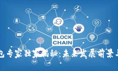 区块链钱包专家独家揭秘：未来发展前景与核心秘诀