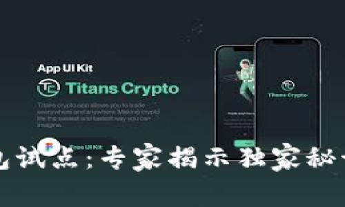 中国数字钱包试点：专家揭示独家秘诀及未来趋势