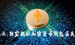 专家揭示：独家揭秘加密