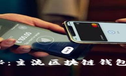 2023年专家揭秘：主流区块链钱包的独家使用秘诀