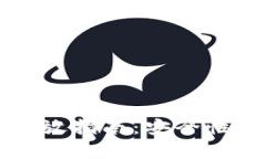 区块链钱包的资金存放指