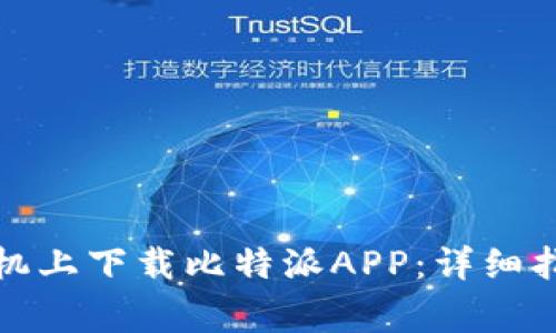 如何在苹果手机上下载比特派APP：详细指南与注意事项