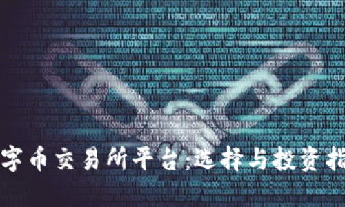 数字币交易所平台：选择与投资指南
