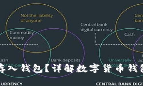数字货币能否存入钱包？详解数字货币钱包的类型与功能