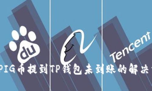 wicPIG币提到TP钱包未到账的解决方案