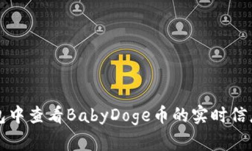 如何在TP钱包中查看BabyDoge币的实时信息与交易记录