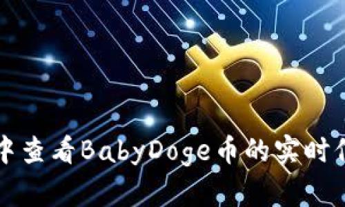 如何在TP钱包中查看BabyDoge币的实时信息与交易记录