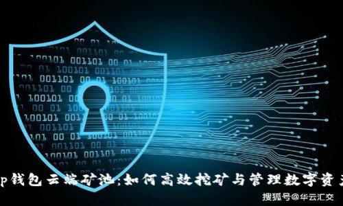 tp钱包云端矿池：如何高效挖矿与管理数字资产