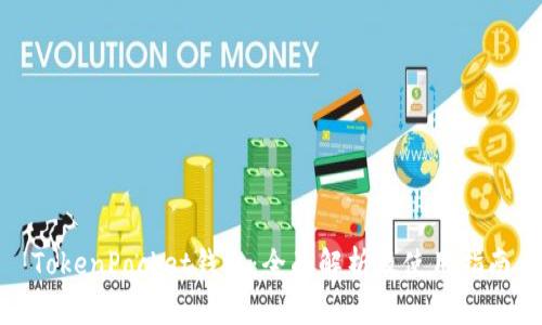 TokenPocket钱包：全面解析及使用指南