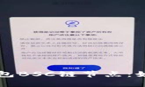 深入解析TP钱包BSC链节点：如何选择与管理