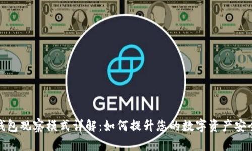 TP钱包观察模式详解：如何提升您的数字资产安全性