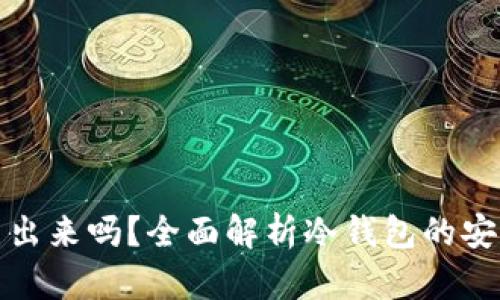 冷钱包的钱能查出来吗？全面解析冷钱包的安全性与隐私保护