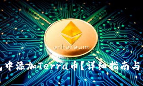 如何在TP钱包中添加Terra币？详细指南与常见问题解析