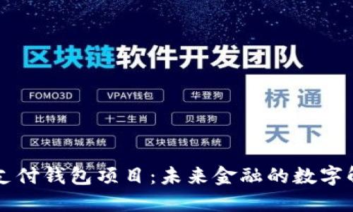 区块链支付钱包项目：未来金融的数字解决方案