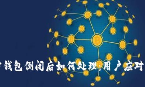 加密钱包倒闭后如何处理：用户应对指南