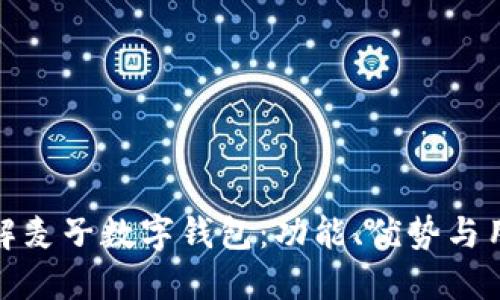 深入了解麦子数字钱包：功能、优势与用户体验