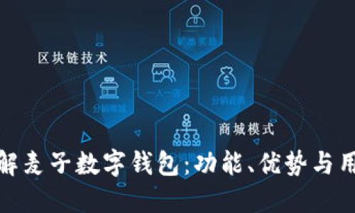 深入了解麦子数字钱包：功能、优势与用户体验