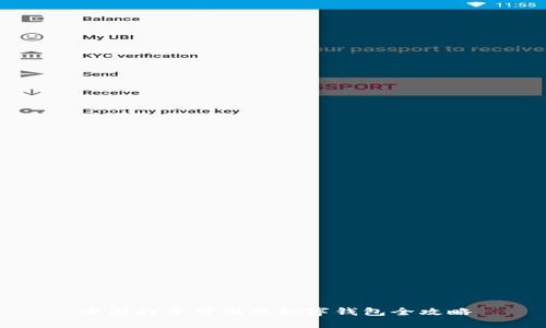 中国打车可用的数字钱包全攻略