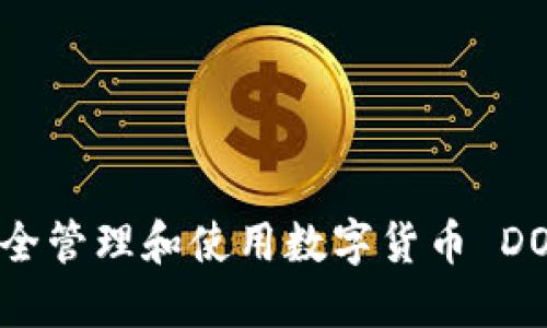 如何安全管理和使用数字货币 DOT 钱包