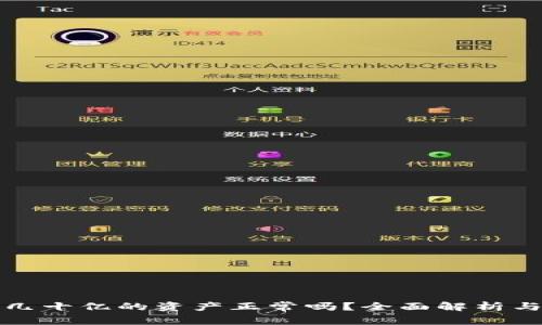 TP钱包有几十亿的资产正常吗？全面解析与风险评估