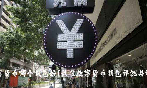 存储数字货币哪个钱包好？最佳数字货币钱包评测与选择指南