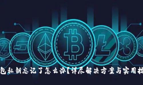 钱包私钥忘记了怎么办？详尽解决方案与实用技巧