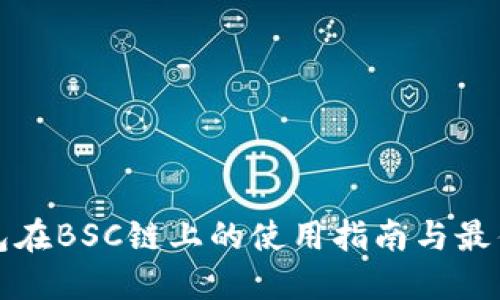 TP钱包在BSC链上的使用指南与最佳实践