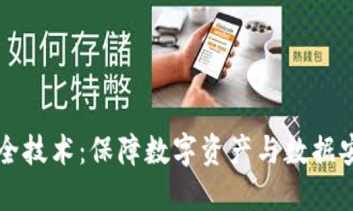 区块链安全技术：保障数字资产与数据安全的未来